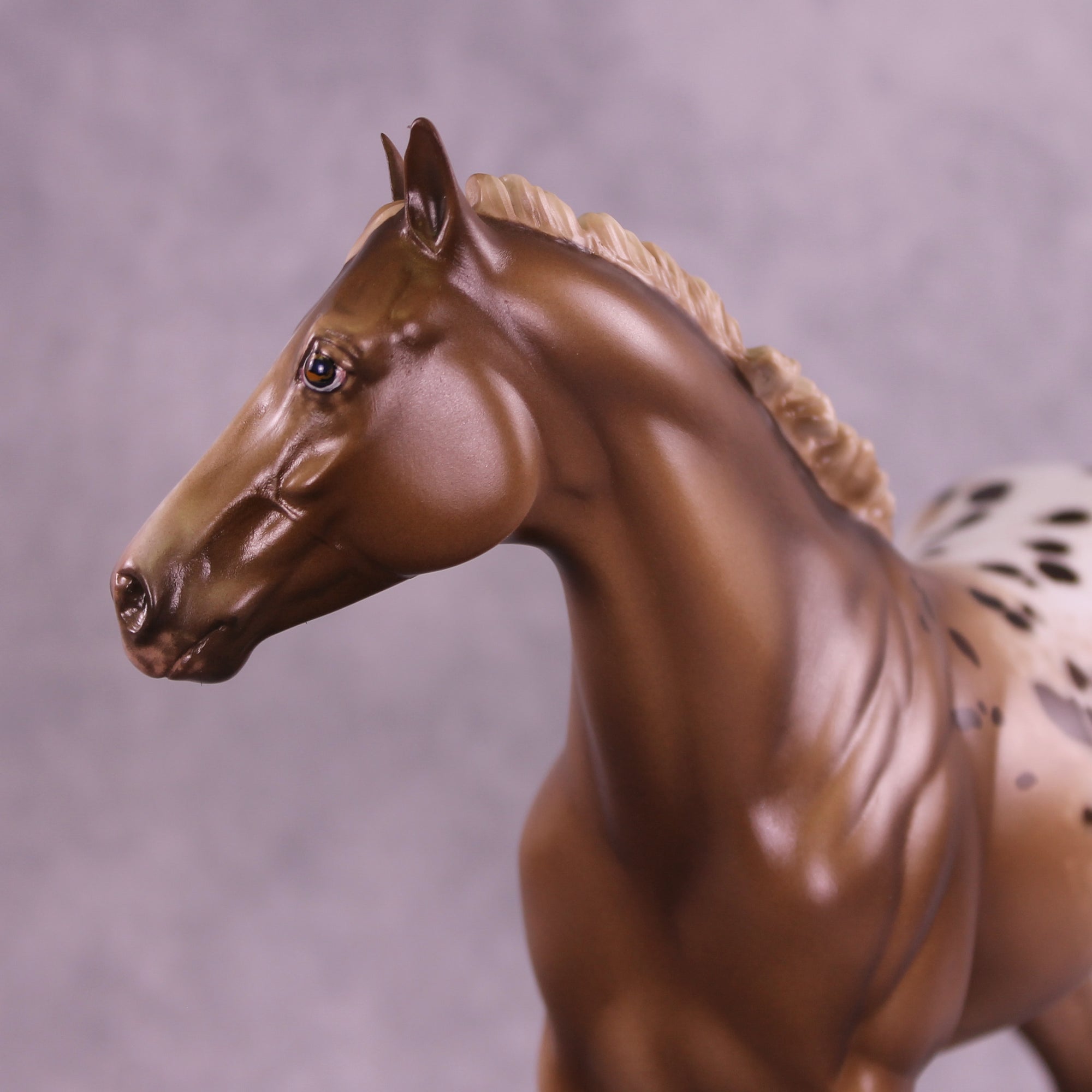 Beat Blast OOAK FCM Ideal Stock Horse by Sheryl Leisure Best Offer 12/16/2025