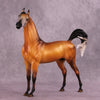 Cordillera LE-5 EFCM Arabian Stallion by Jess Hamill MS25