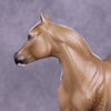 &quot;Can&#39;t Stop Me&quot; OOAK FCM Ideal Stock Horse by Ellen Robbins Best Offer 07/01/25