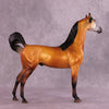 Cordillera LE-5 EFCM Arabian Stallion by Jess Hamill MS25