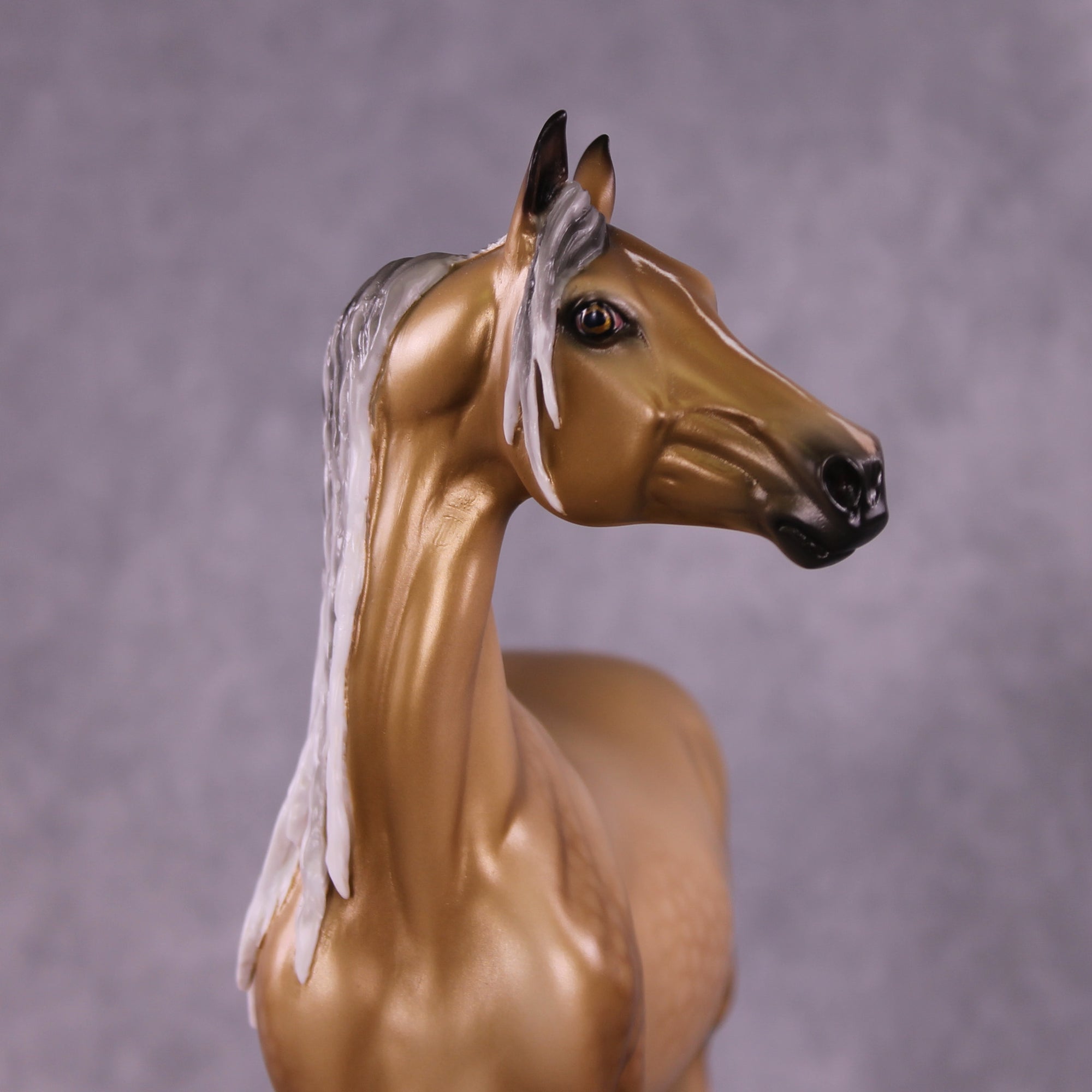 Lancet OOAK FCM Morgan Stallion by Ellen Robbins Best Offer 9/2/2025
