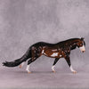 &quot;Seal&quot; OOAK FCM Remington By Caroline Boydston Best Offer 5/13/2025