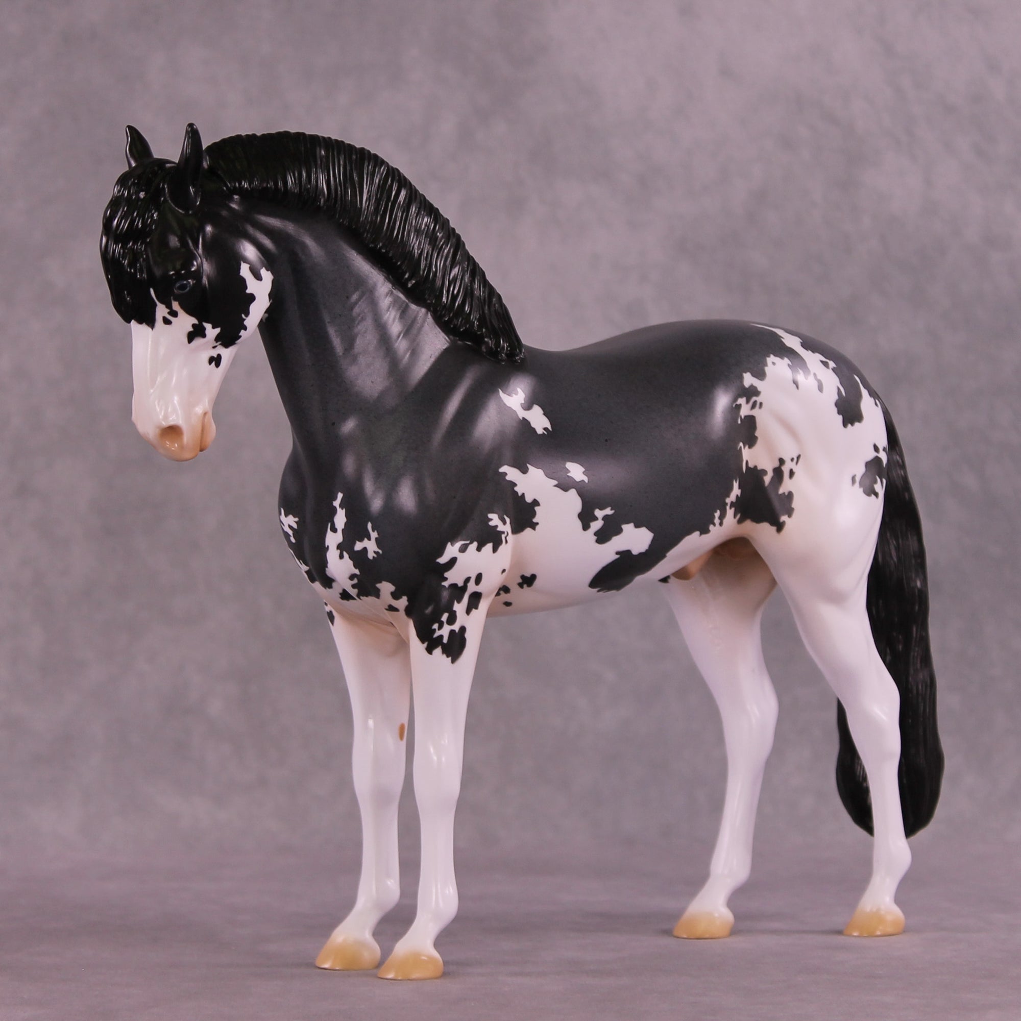 Doo Wop OOAK FCM Andalusian by Jess Hamill DDOOAKs25