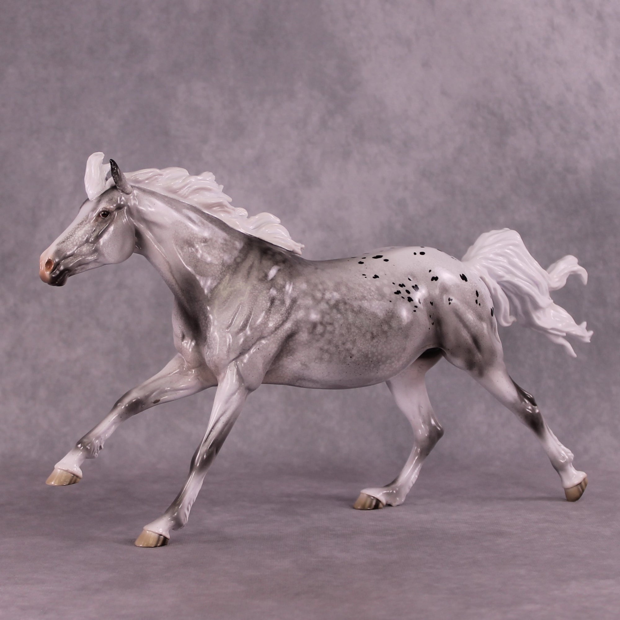 OOAK Volo Blind Draw By Jess Hamill - Menagerie Series