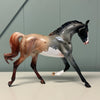 Running Into Roan Custom Deco Yearling By Ashley Palmer Based Off of AotH Entry By Wiccan York EQ24 BEST OFFER 7/16/24