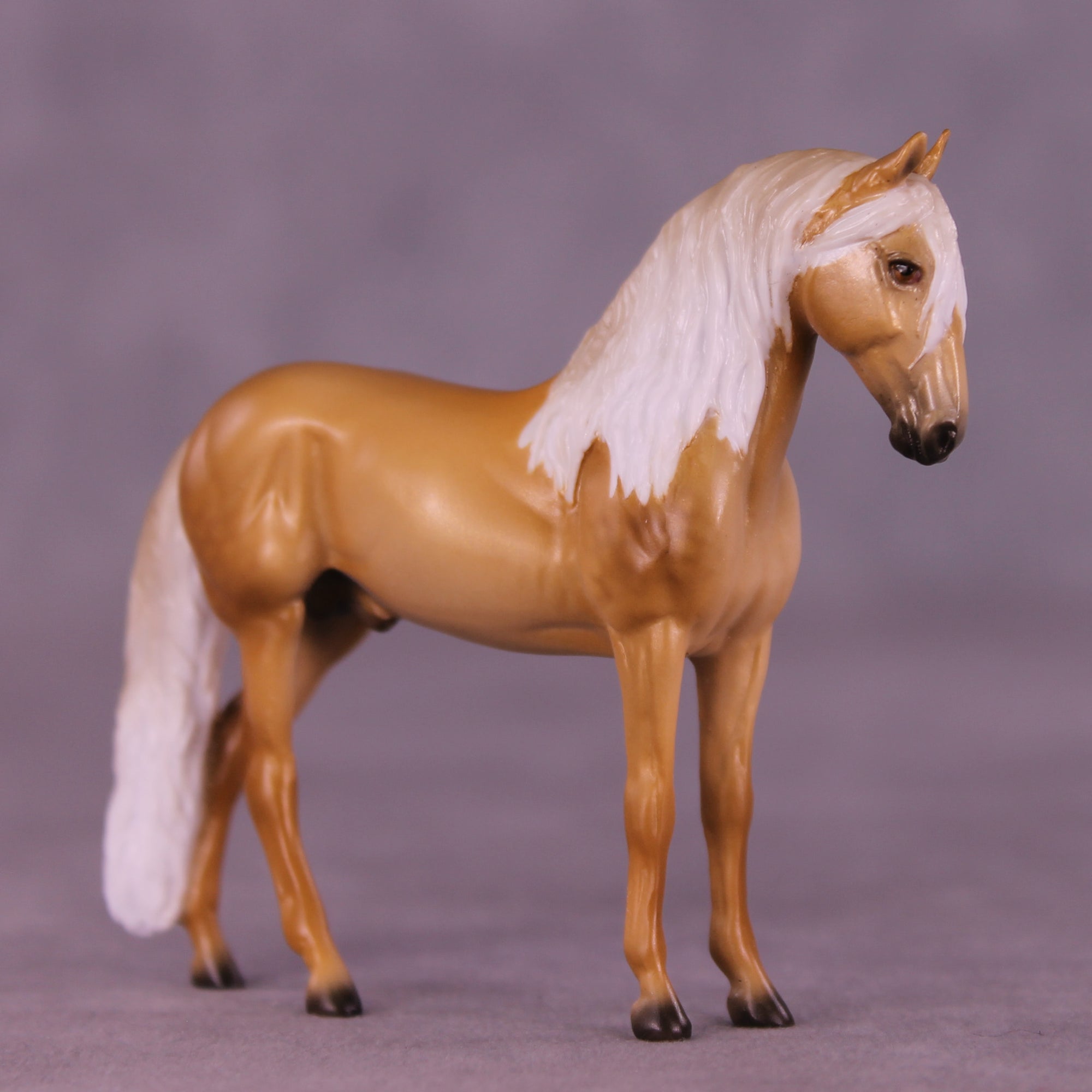 Espumillón LE-10 FCM Chip Friesian by Ellen Robbins HS25