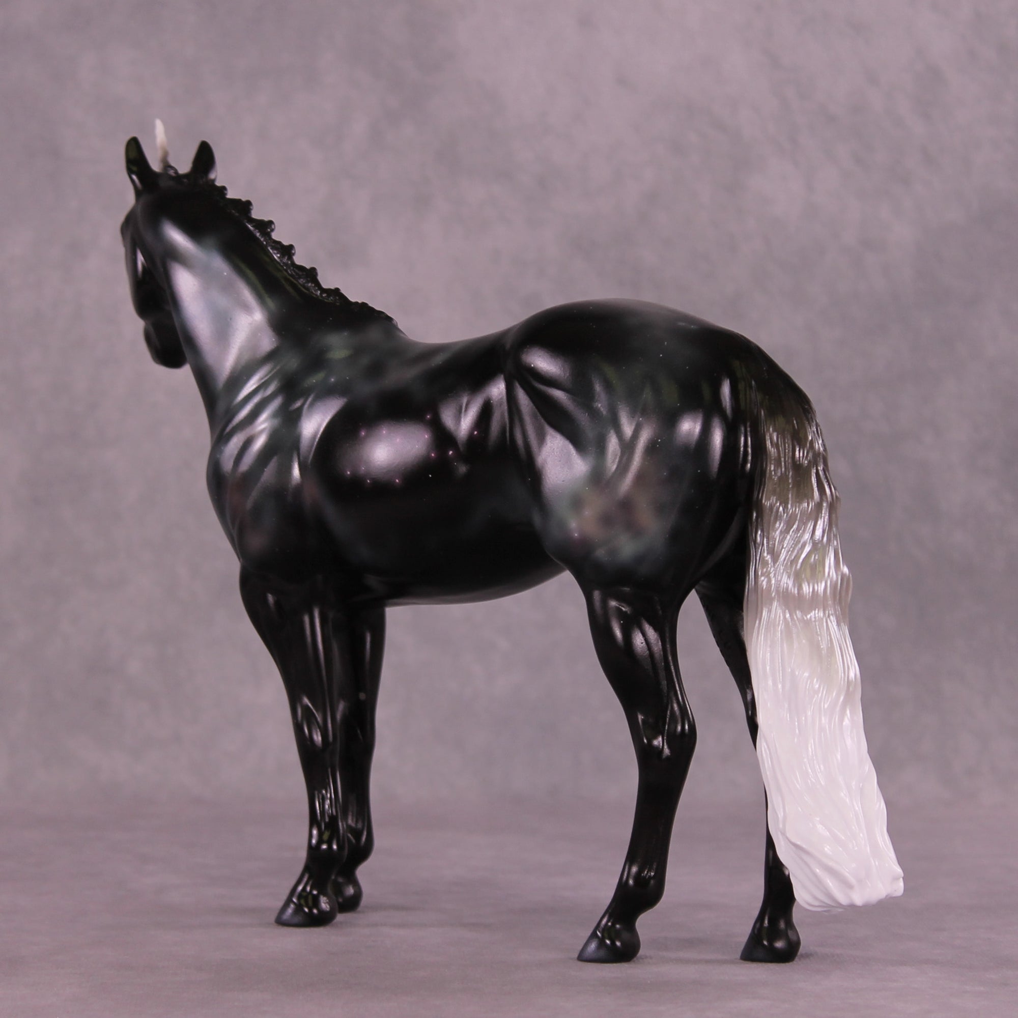 Porrima LE-10 FCM Ideal Stock Horse by Ashley Palmer ZS25