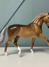 Bobby Fisher OOAK Dappled Sooty Buckskin Warmblood By Tiffany Purdy EQ24 BEST OFFER 7/16/24