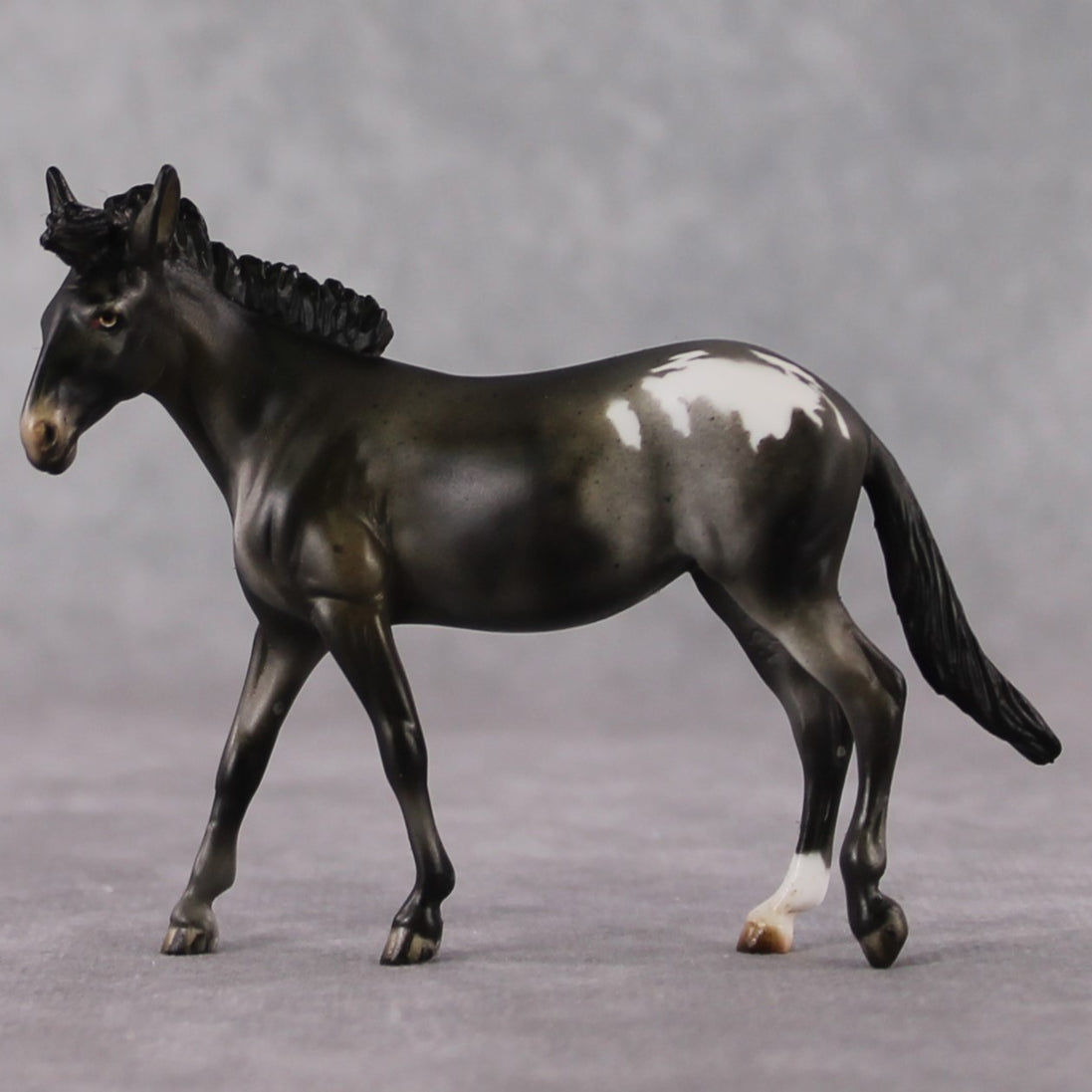 "Mini Barbara Ross" LE-3 Appaloosa Mule Chip by Julie Keim