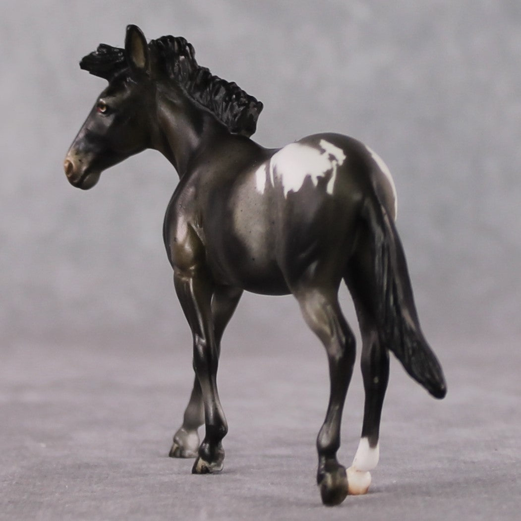 "Mini Barbara Ross" LE-3 Appaloosa Mule Chip by Julie Keim