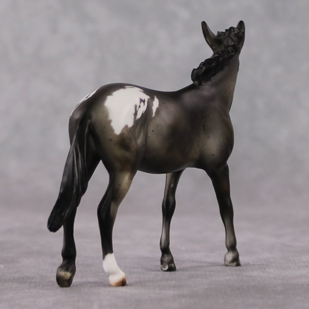 "Mini Barbara Ross" LE-3 Appaloosa Mule Chip by Julie Keim