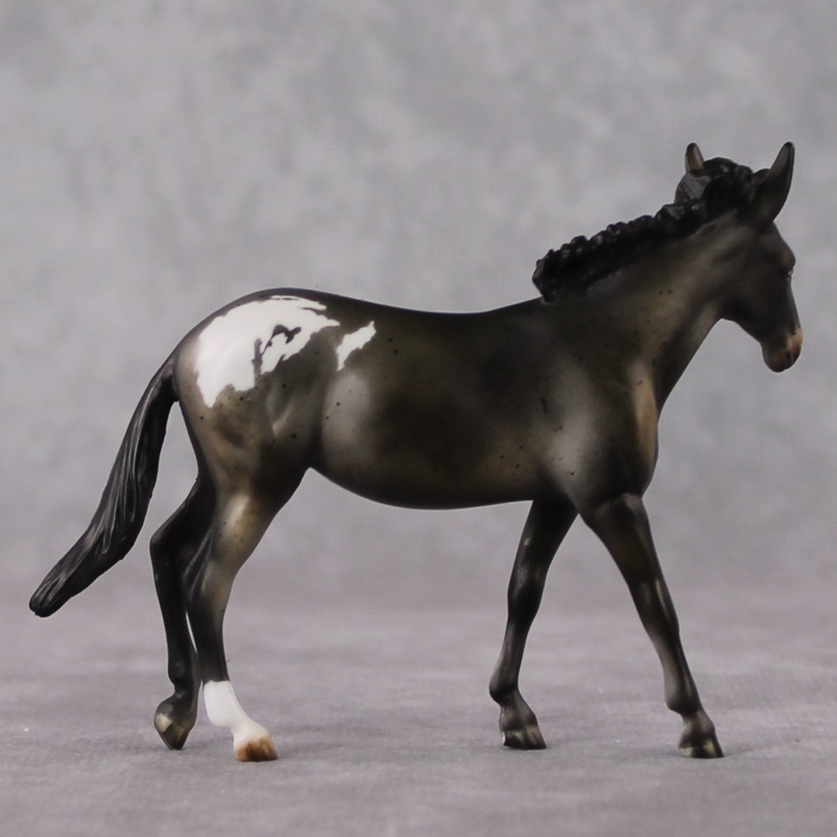 "Mini Barbara Ross" LE-3 Appaloosa Mule Chip by Julie Keim