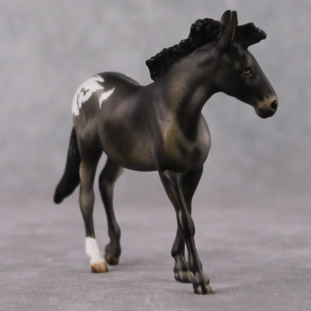 "Mini Barbara Ross" LE-3 Appaloosa Mule Chip by Julie Keim