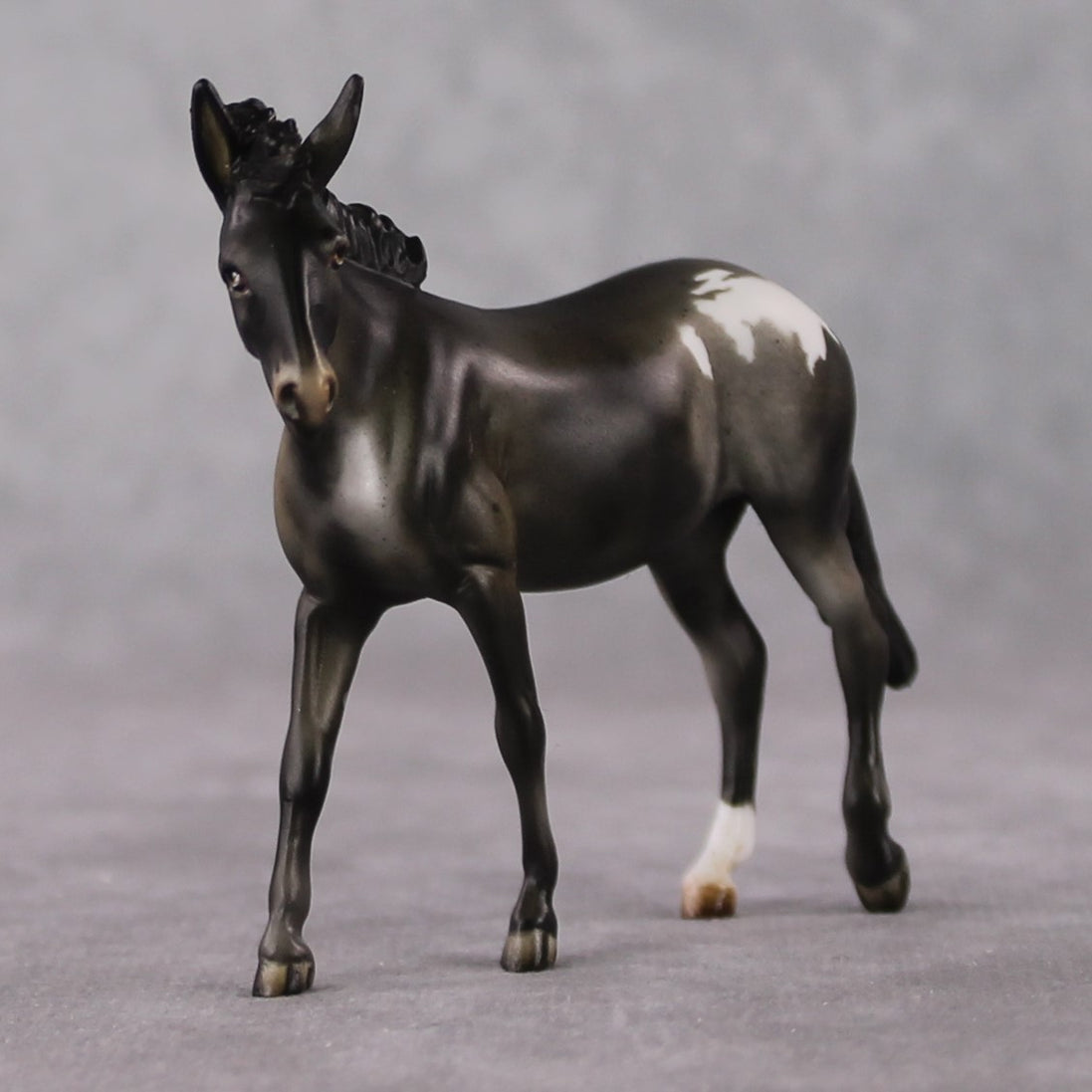 "Mini Barbara Ross" LE-3 Appaloosa Mule Chip by Julie Keim