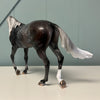 Rauh OOAK Dappled Dark Grey Custom Thoroughbred By Jess Hamill Best Offers 7/2/24