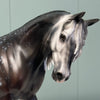 Rauh OOAK Dappled Dark Grey Custom Thoroughbred By Jess Hamill Best Offers 7/2/24