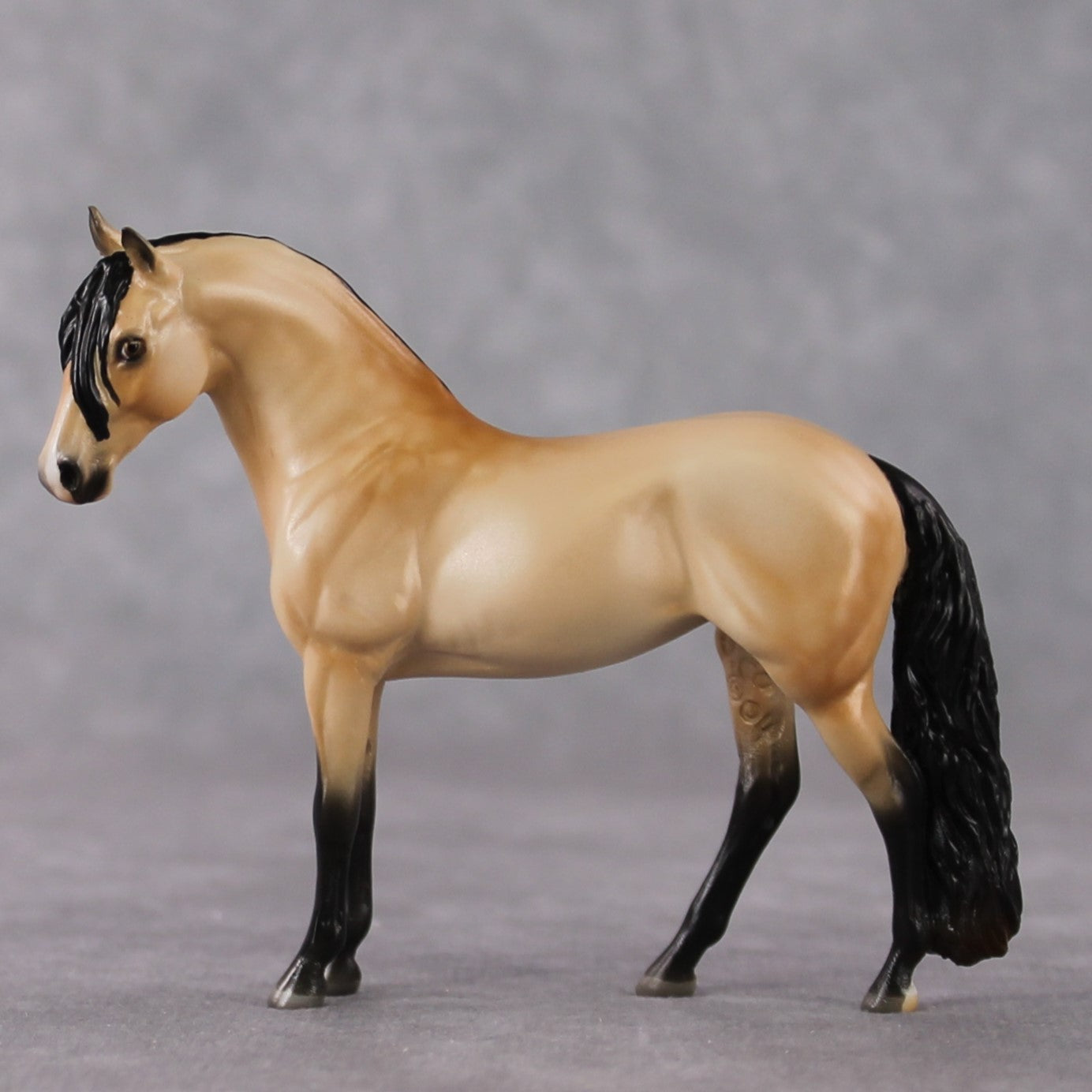 "Mini Metanoia" LE-3 Custom Dappled Buckskin Andalusian Chip By Ashley Palmer-Secret Surprise Chip Drop