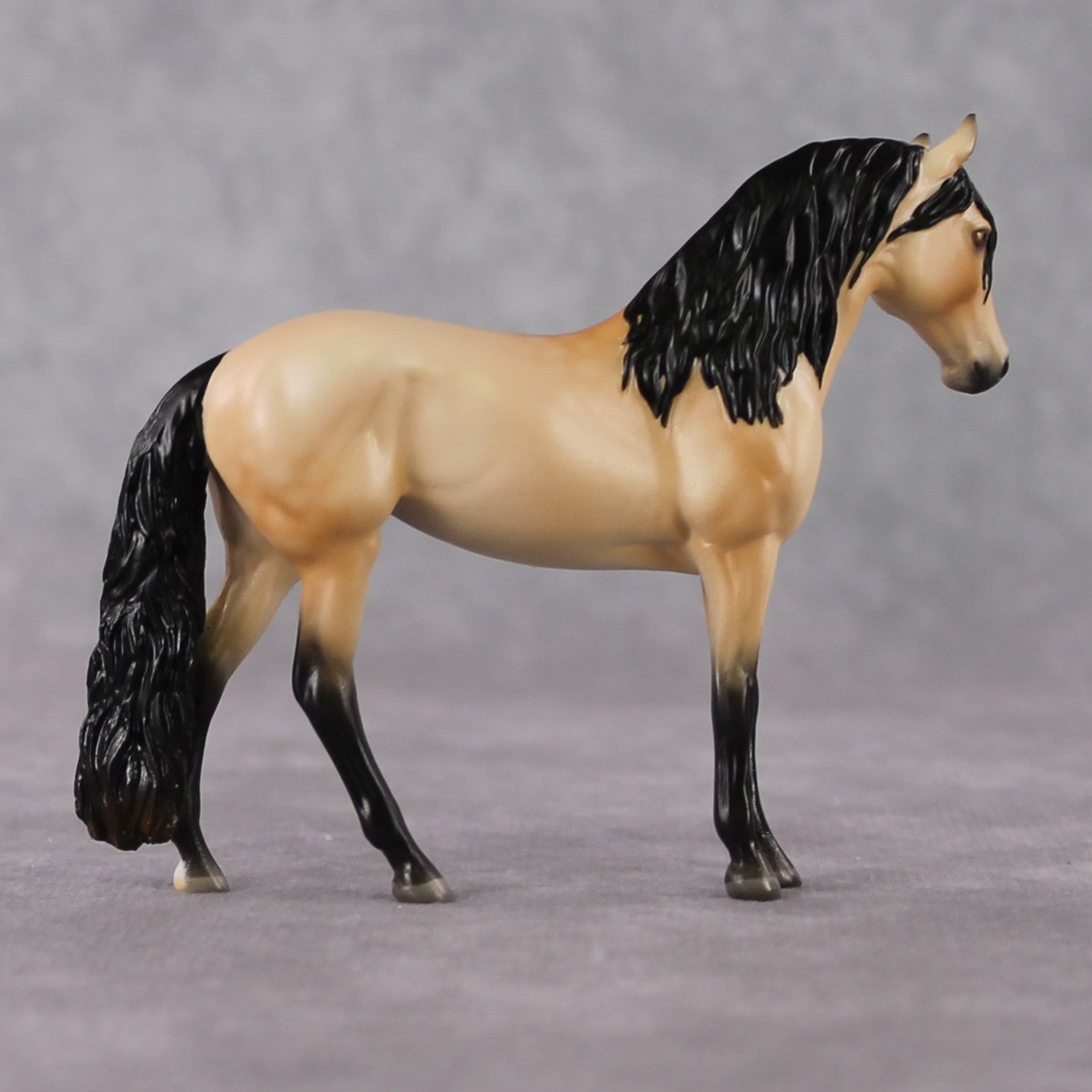 "Mini Metanoia" LE-3 Custom Dappled Buckskin Andalusian Chip By Ashley Palmer-Secret Surprise Chip Drop