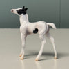 Shadow Dove OOAK Black Tobiano Foal Chip By Jess Hamill EQ24