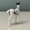 Shadow Dove OOAK Black Tobiano Foal Chip By Jess Hamill EQ24