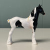 Tuxedo OOAK Black Tobiano Draft Chip By Jess Hamill EQ24