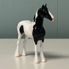 Tuxedo OOAK Black Tobiano Draft Chip By Jess Hamill EQ24