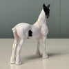 Patches OOAK Black Tobiano Draft Chip By Jess Hamill EQ24