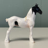 Patches OOAK Black Tobiano Draft Chip By Jess Hamill EQ24