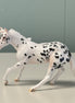 Beans OOAK Appaloosa Cutter Chip By Jess Hamill EQ24