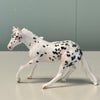 Beans OOAK Appaloosa Cutter Chip By Jess Hamill EQ24