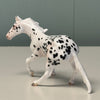 Beans OOAK Appaloosa Cutter Chip By Jess Hamill EQ24