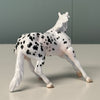 Beans OOAK Appaloosa Cutter Chip By Jess Hamill EQ24