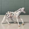 Beans OOAK Appaloosa Cutter Chip By Jess Hamill EQ24