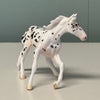 Beans OOAK Appaloosa Cutter Chip By Jess Hamill EQ24