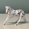 Beans OOAK Appaloosa Cutter Chip By Jess Hamill EQ24