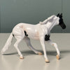 Moonstone OOAK Tobiano Cutter Chip By Jess Hamill EQ24