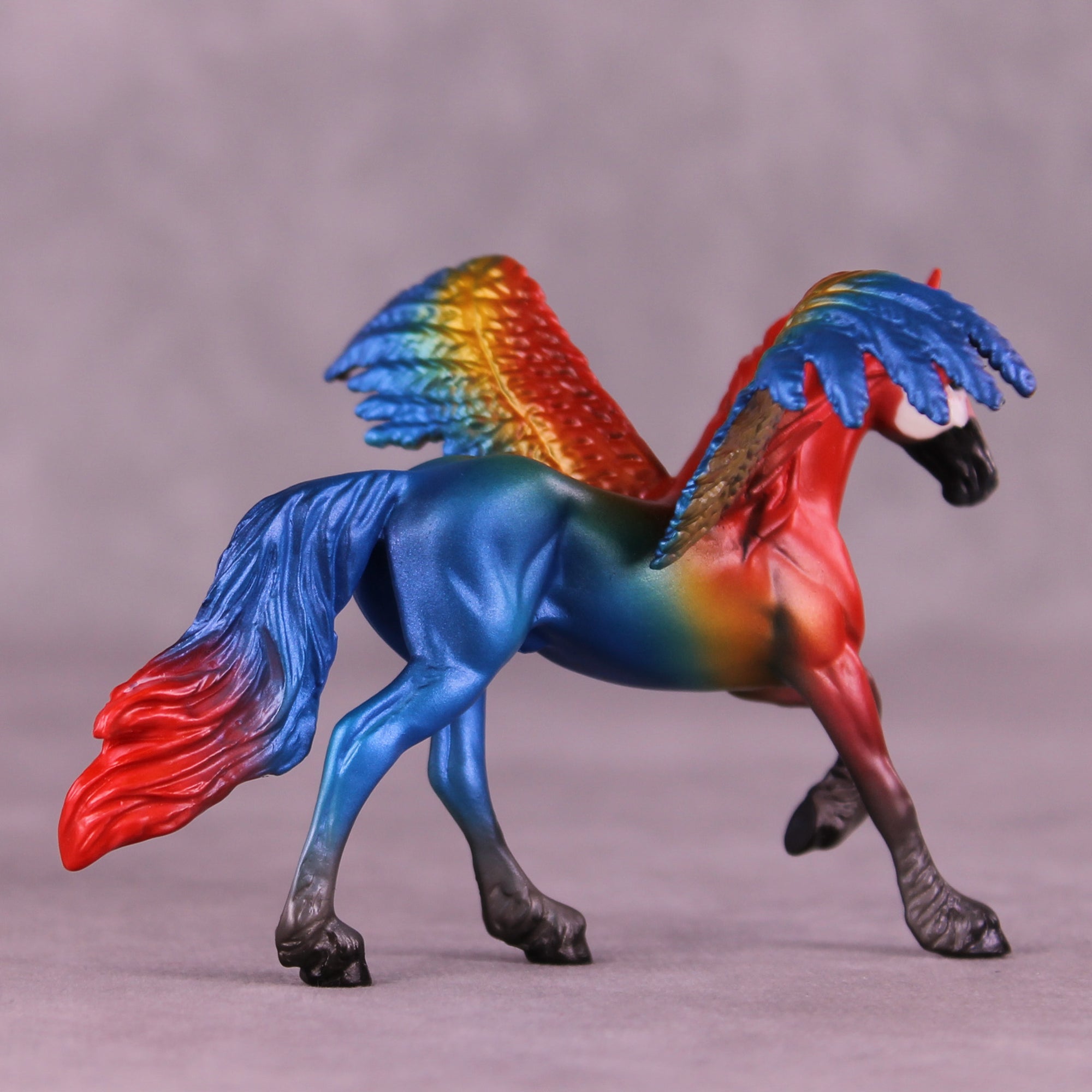 Scarlet Macaw FCM OOAK Chip Grab Bag by Jess Hamill MS25