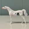 Spotlight OOAK Sabino Arabian Chip By Jess Hamill EQ24