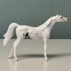 Spotlight OOAK Sabino Arabian Chip By Jess Hamill EQ24