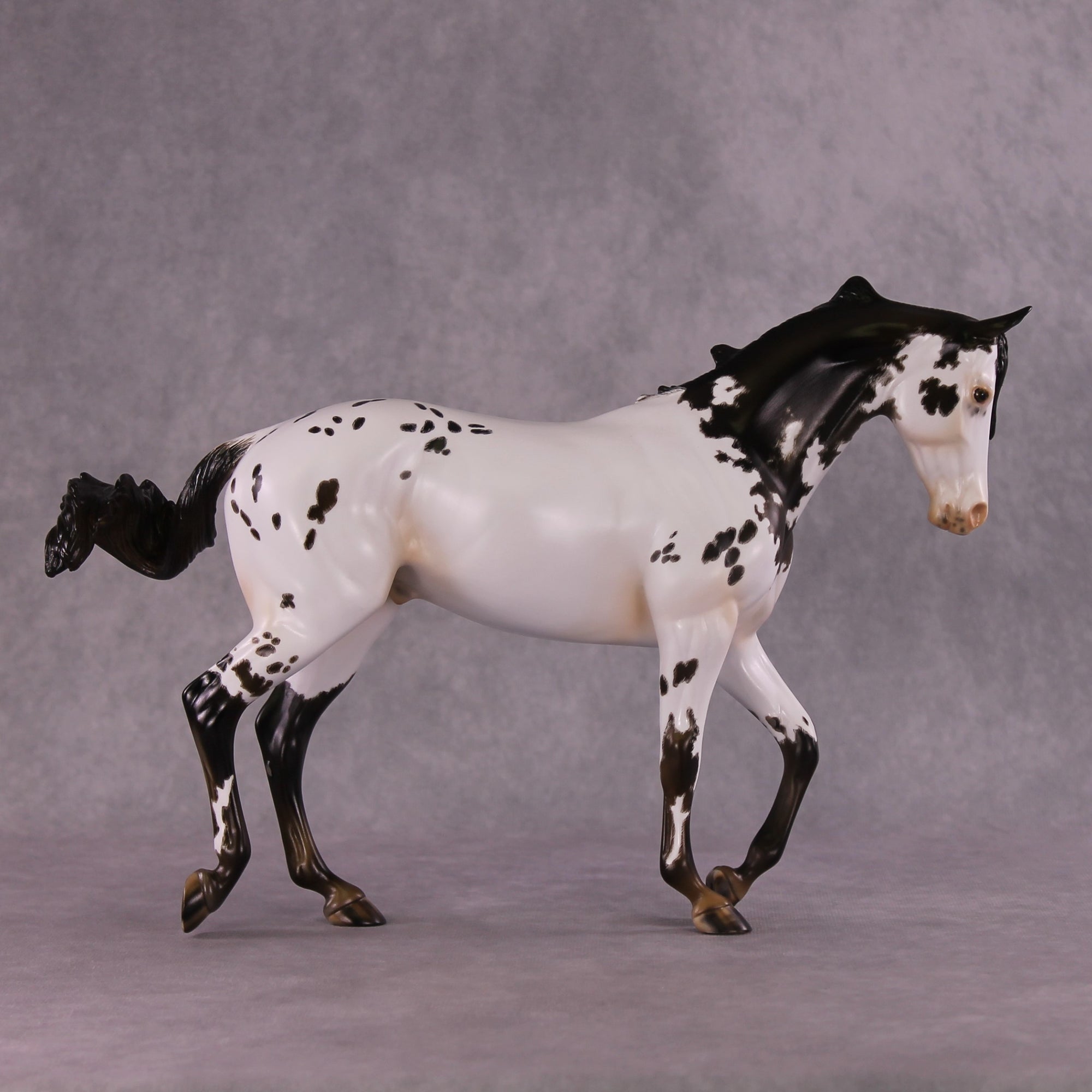 "Cartouche" OOAK Thoroughbred by Julie Kiem SHCF25