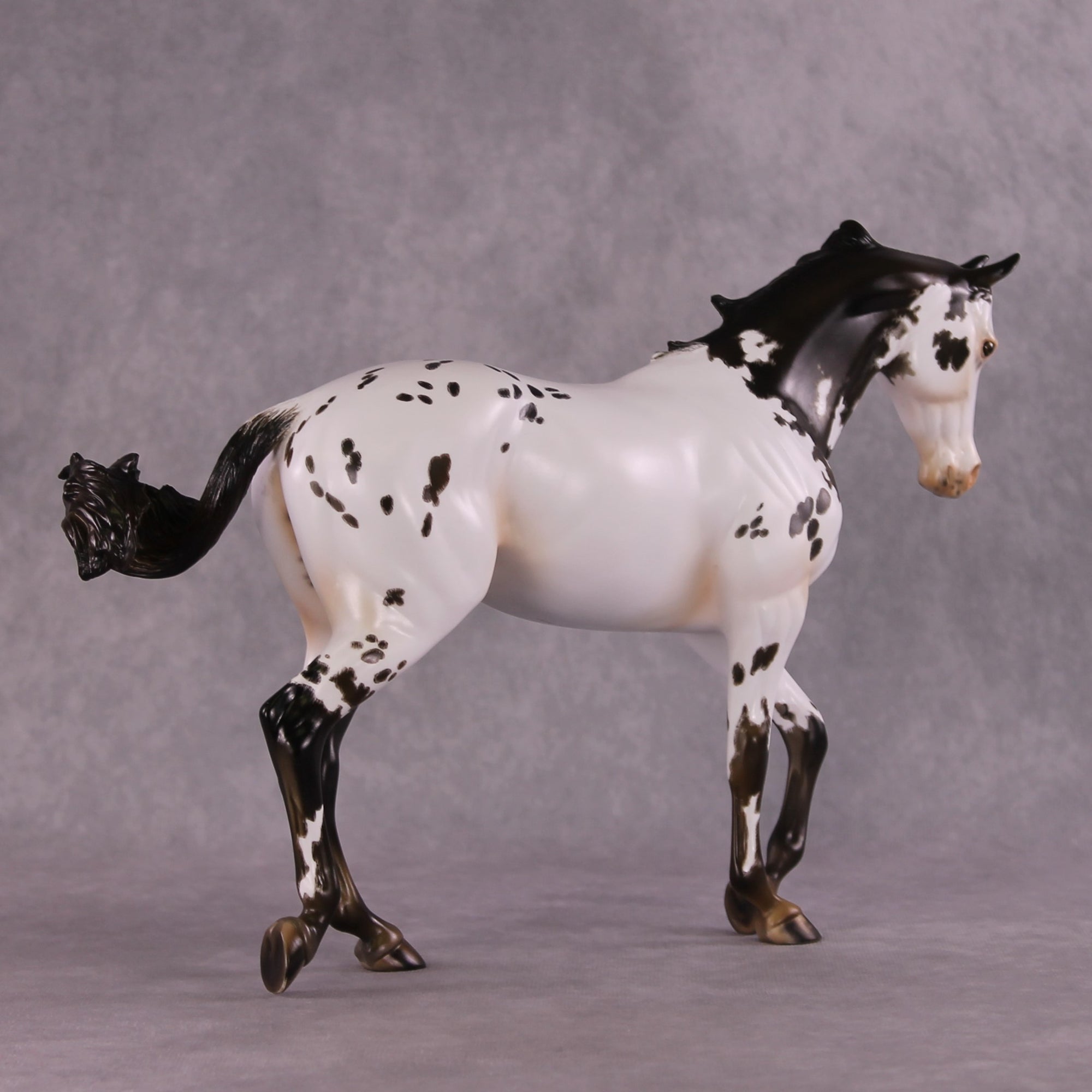 "Cartouche" OOAK Thoroughbred by Julie Kiem SHCF25