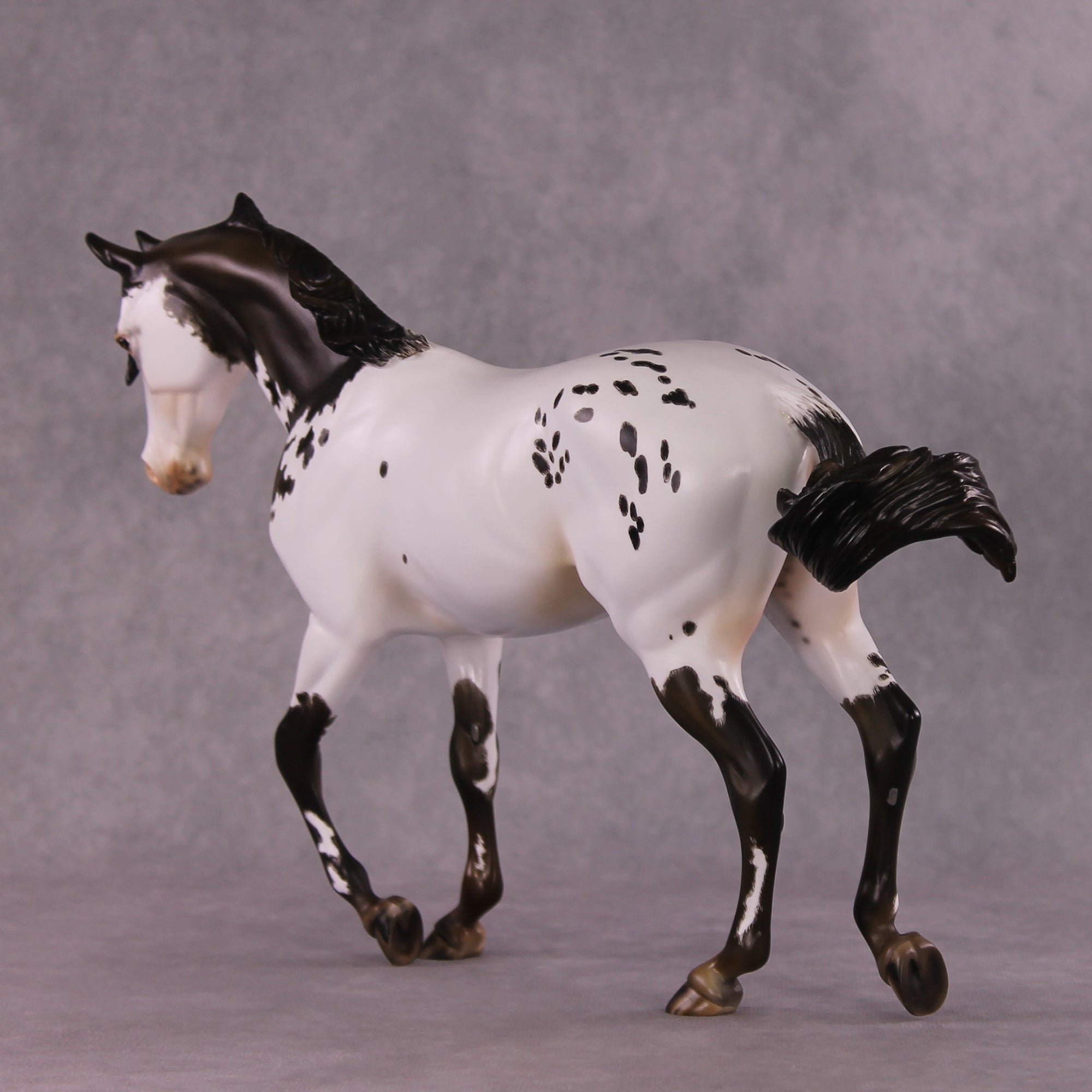 "Cartouche" OOAK Thoroughbred by Julie Kiem SHCF25