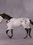 "Cartouche" OOAK Thoroughbred by Julie Kiem SHCF25