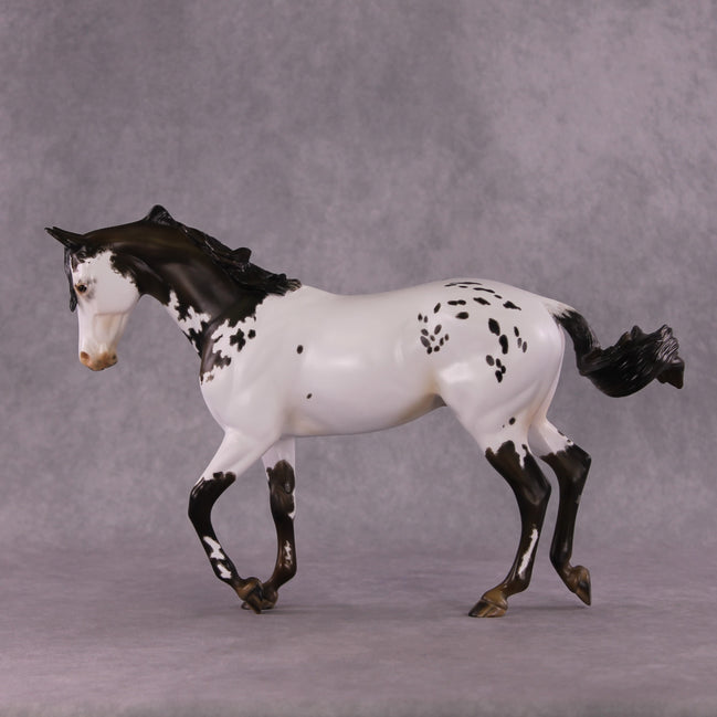 "Cartouche" OOAK Thoroughbred by Julie Kiem SHCF25