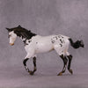 &quot;Cartouche&quot; OOAK Thoroughbred by Julie Kiem SHCF25