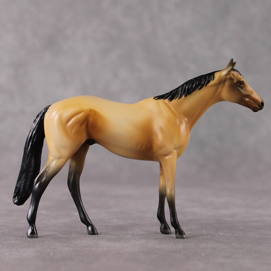 "Bucky" OOAK Thoroughbred Chip By Jamie Adamson SHCF25OS