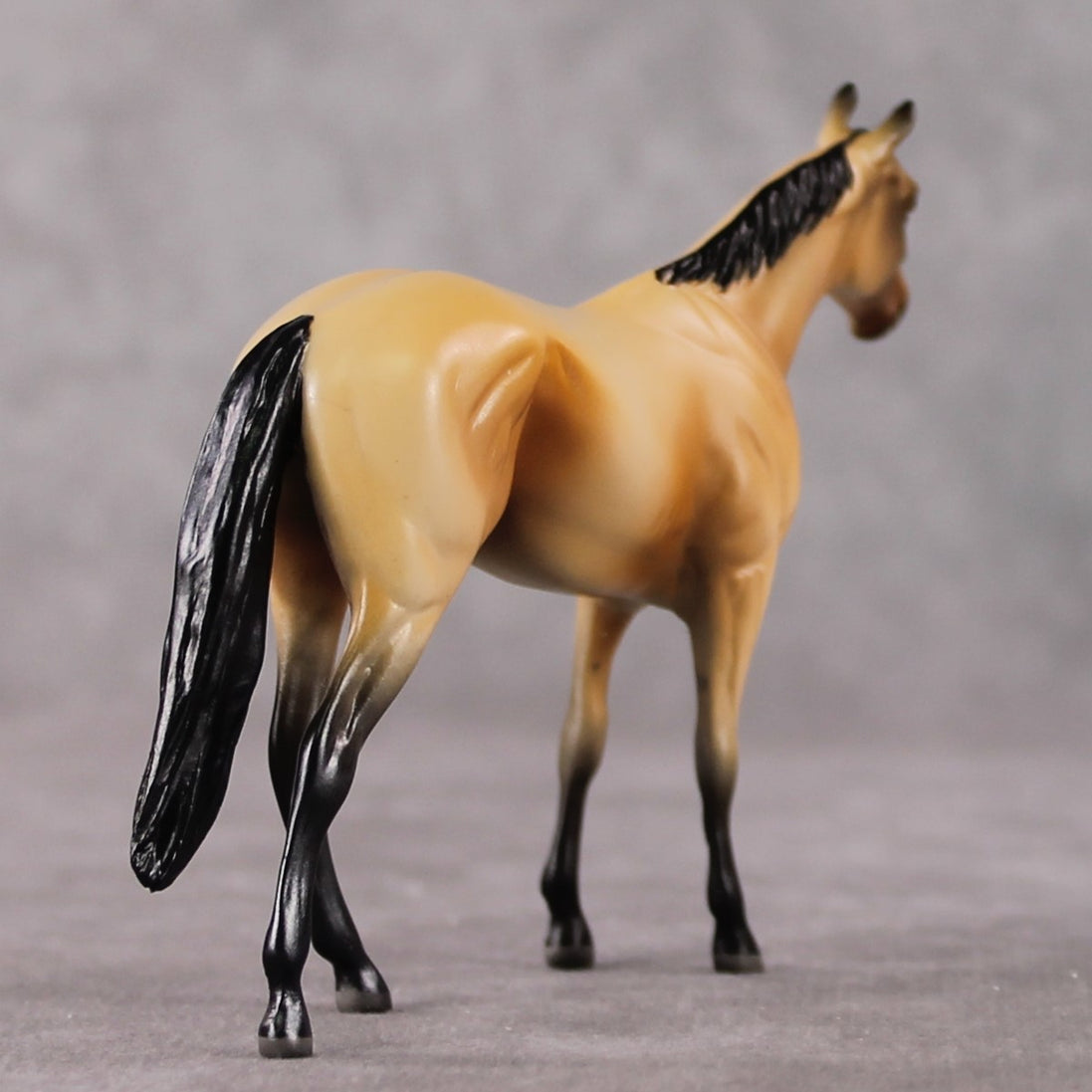 "Bucky" OOAK Thoroughbred Chip By Jamie Adamson SHCF25OS