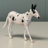 Domino OOAK Tobiano Mule Chip By Jess Hamill EQ24