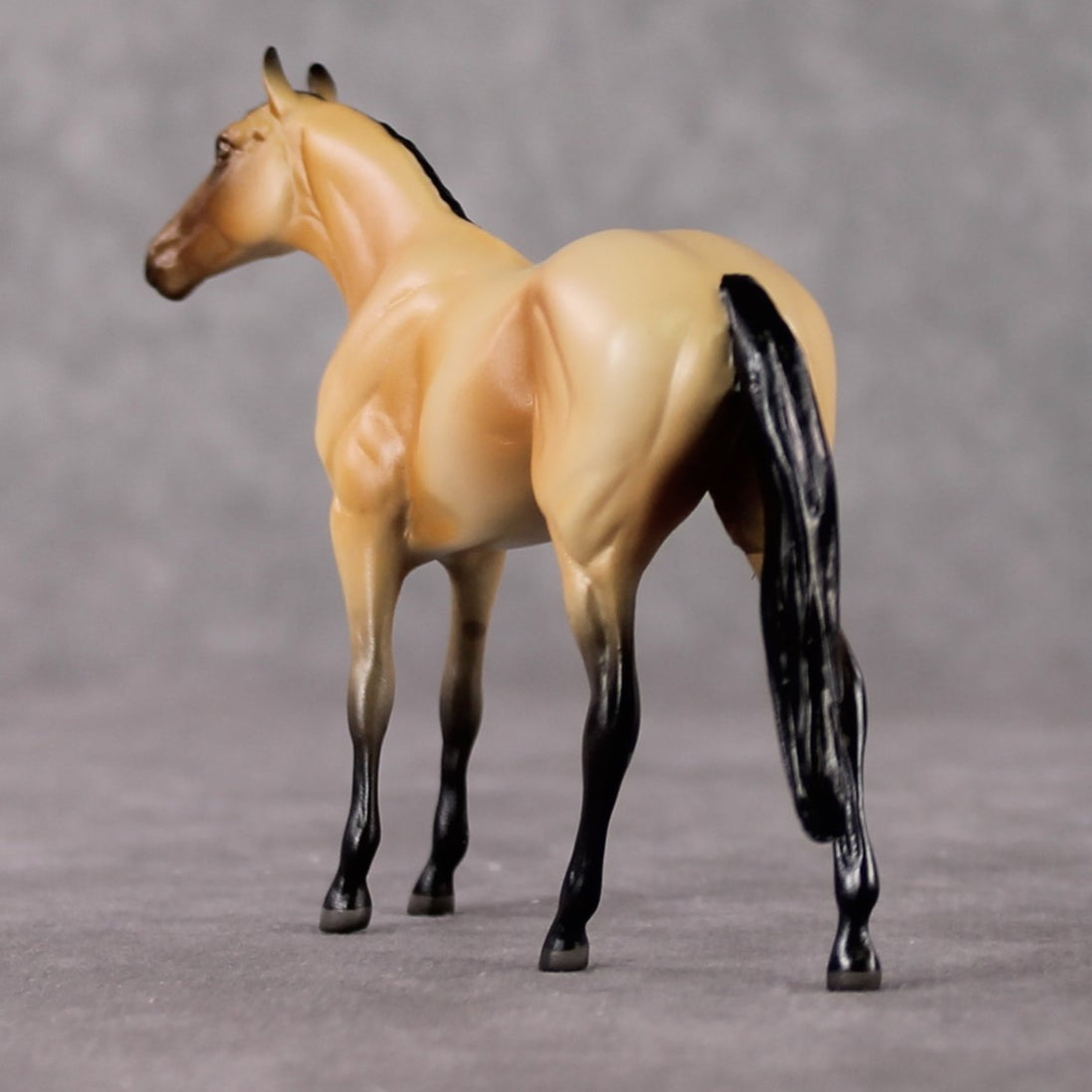 "Bucky" OOAK Thoroughbred Chip By Jamie Adamson SHCF25OS