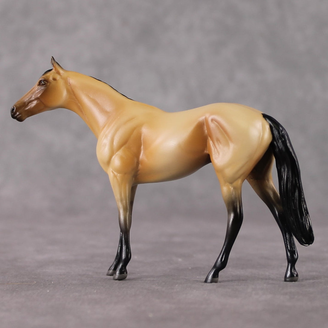 "Bucky" OOAK Thoroughbred Chip By Jamie Adamson SHCF25OS